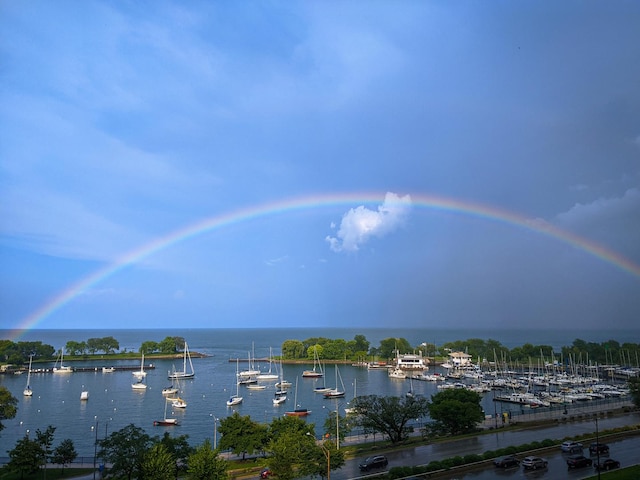 3200 N Lake Shore Dr Unit 911, Chicago, IL 60657 - water view featuring numerous boat docks