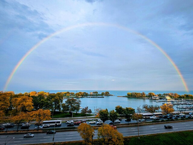 3200 N Lake Shore Dr Unit 911, Chicago, IL 60657 - water view
