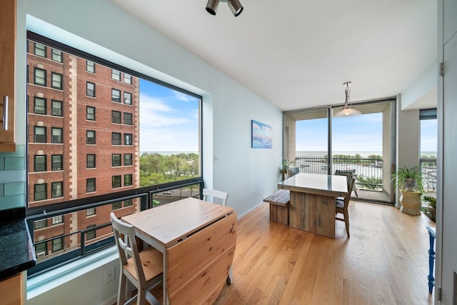 3200 N Lake Shore Dr Unit 911, Chicago, IL 60657 - dining room with expansive windows and light wood-type flooring