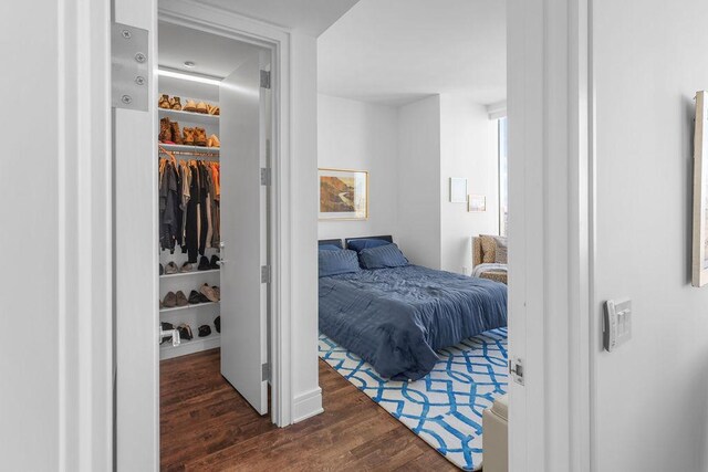 401 N Wabash Ave Unit 42E, Chicago, IL 60611 - bedroom featuring wood finished floors, a walk in closet, and a closet