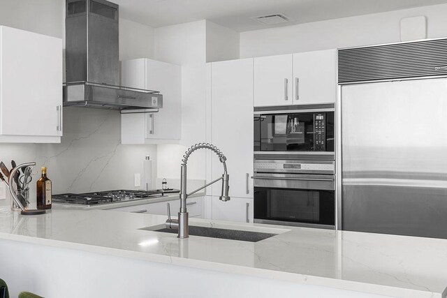401 N Wabash Ave Unit 42E, Chicago, IL 60611 - kitchen featuring wall chimney exhaust hood, built in appliances, a sink, and light stone countertops
