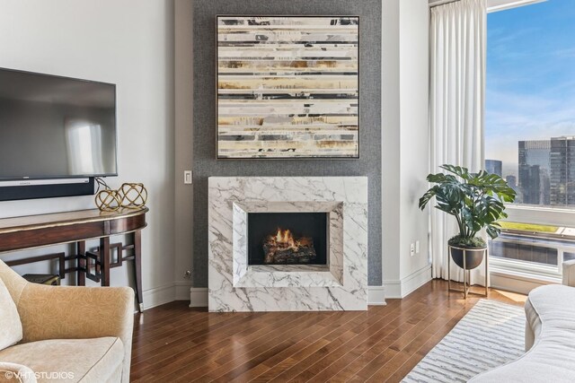 401 N Wabash Ave Unit 54E, Chicago, IL 60611 - living room featuring wood finished floors, baseboards, a premium fireplace, and a city view