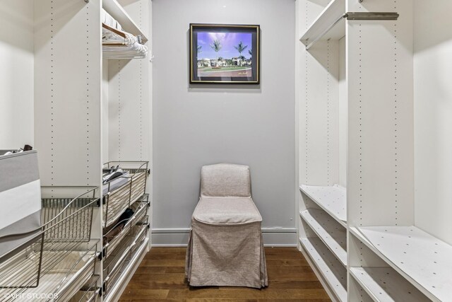 401 N Wabash Ave Unit 54E, Chicago, IL 60611 - spacious closet with wood finished floors