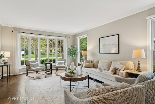 614 S Patton Ave, Arlington Heights, IL 60005 - living room featuring wood finished floors and crown molding