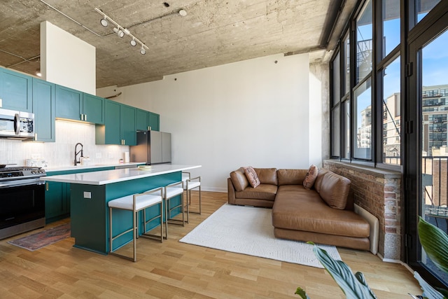 320 E 21st St Unit 402, Chicago, IL 60616 - living room featuring light wood-type flooring and track lighting