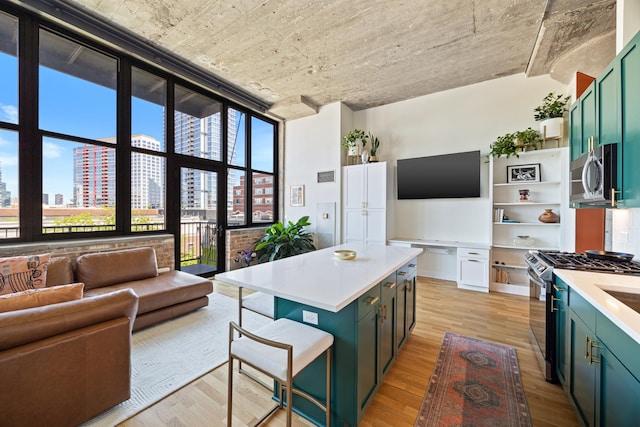 320 E 21st St Unit 402, Chicago, IL 60616 - kitchen featuring green cabinetry, appliances with stainless steel finishes, light countertops, a city view, and expansive windows
