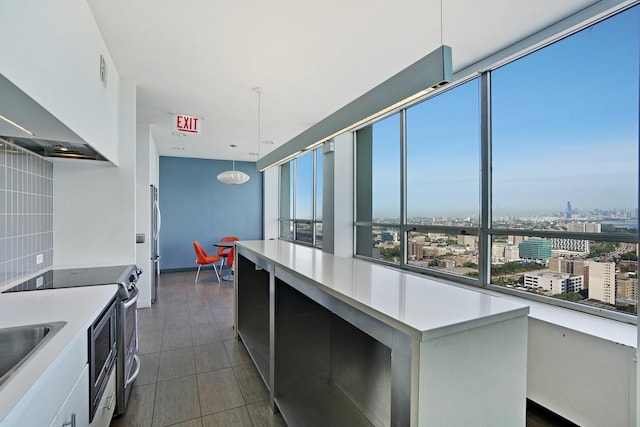 1700 E 56th St Unit 904, Chicago, IL 60637 - kitchen featuring wall chimney range hood, light countertops, stainless steel appliances, and a city view