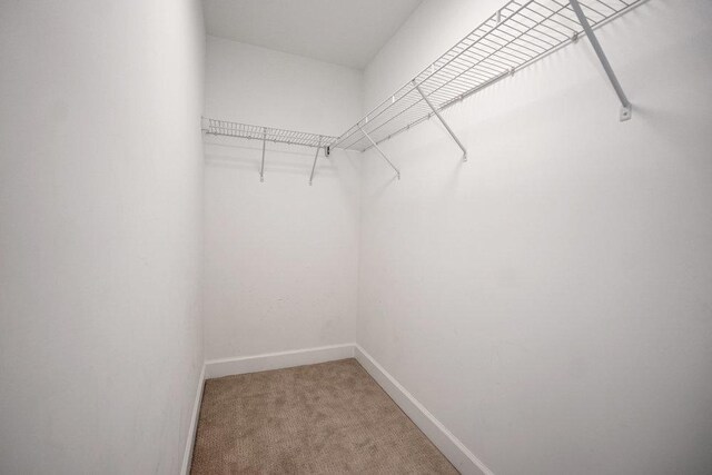 6704 Whisper Glen Dr, Plainfield, IL 60586 - spacious closet with light carpet