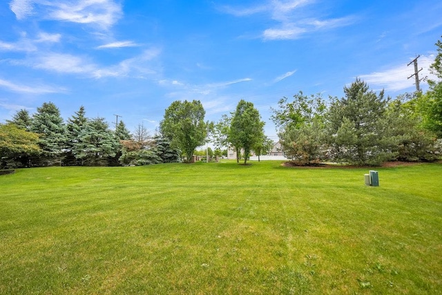 6704 Whisper Glen Dr, Plainfield, IL 60586 - view of grassy yard