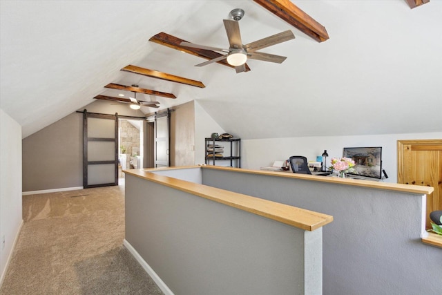 404 Vale Ave N, Rockford, IL 61107 - additional living space with ceiling fan, carpet floors, and baseboards