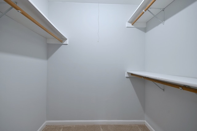 1806 Hemlock Pl Unit 105, Schaumburg, IL 60173 - walk in closet with light carpet