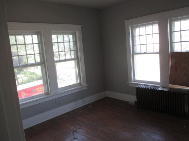 312 Union St, Joliet, IL 60433 - unfurnished room with radiator heating unit, healthy amount of natural light, and dark wood-style flooring