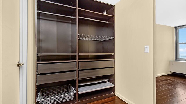 400 E Randolph St Unit 3321, Chicago, IL 60601 - view of closet