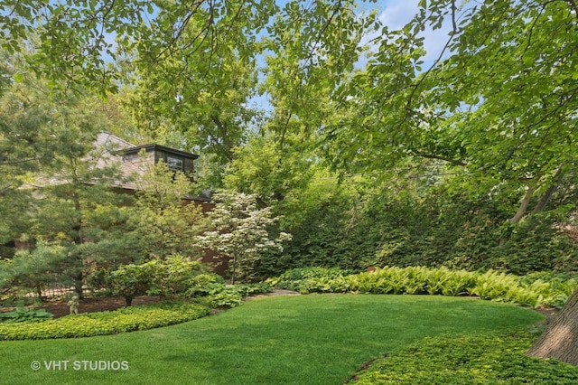 539 N E Ave, Oak Park, IL 60302 - view of grassy yard
