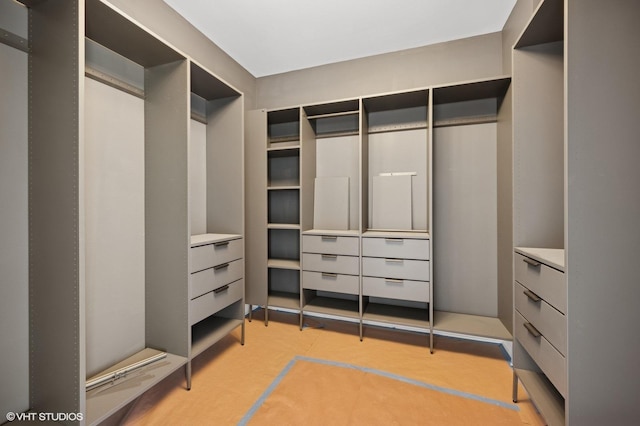 222 S Oakley Blvd Unit 3, Chicago, IL 60612 - view of spacious closet