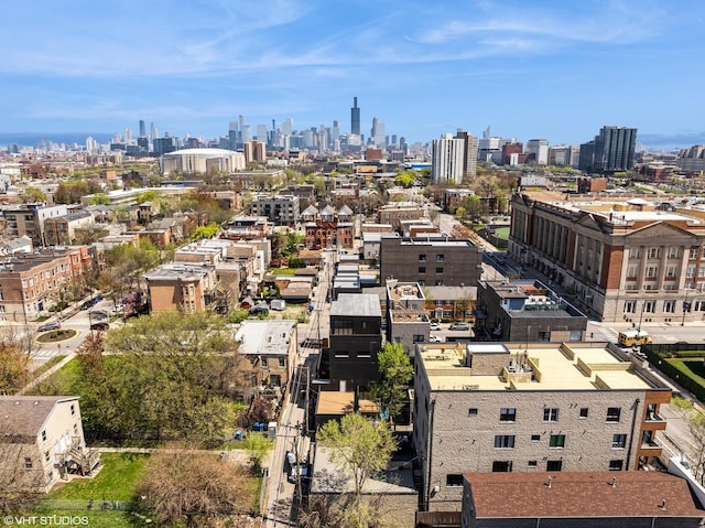 222 S Oakley Blvd Unit 3, Chicago, IL 60612 - view of city skyline