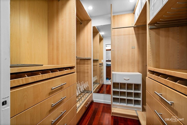 6382 Twin Oaks Ln, Lisle, IL 60532 - spacious closet with dark wood-style floors