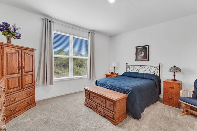 8716 Pebble Creek Ct, Wonder Lake, IL 60097 - bedroom featuring light colored carpet and baseboards
