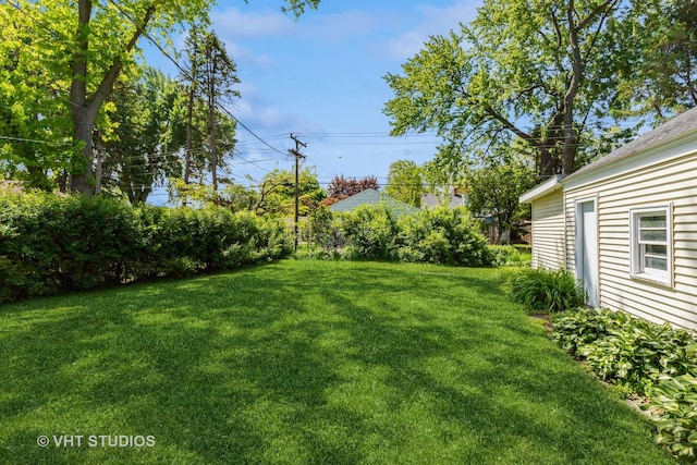 view of grassy yard