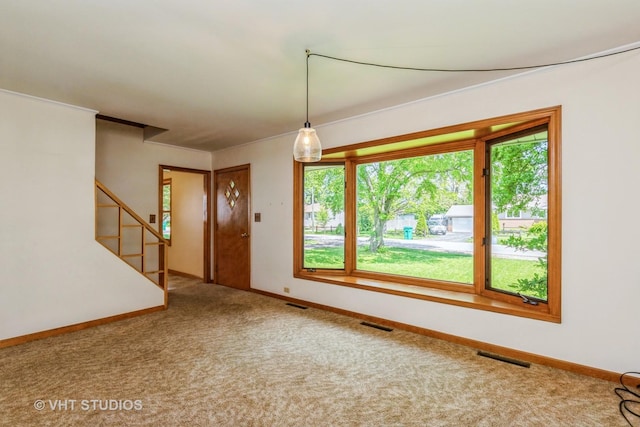 spare room with plenty of natural light, baseboards, carpet floors, and ornamental molding