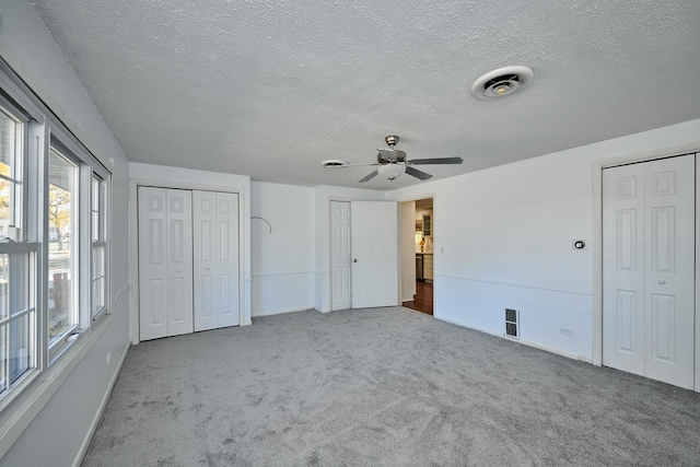 1613 Hartmann Dr, Schaumburg, IL 60193 - unfurnished bedroom with two closets, carpet flooring, multiple windows, and a textured ceiling