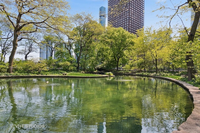 505 N Lake Shore Dr Unit 4807, Chicago, IL 60611 - water view