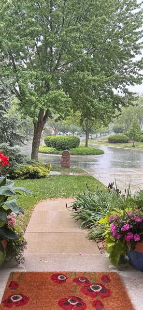 22802 Eider Ct, Plainfield, IL 60585 - view of yard