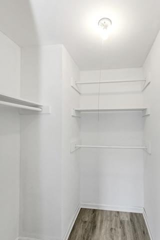 spacious closet featuring wood finished floors