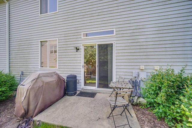 1163 Whispering Hills Dr, Naperville, IL 60540 - view of patio