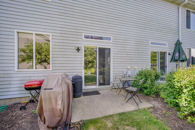 1163 Whispering Hills Dr, Naperville, IL 60540 - view of patio / terrace featuring a grill