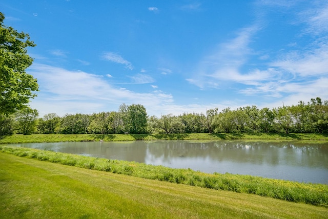 1163 Whispering Hills Dr, Naperville, IL 60540 - water view