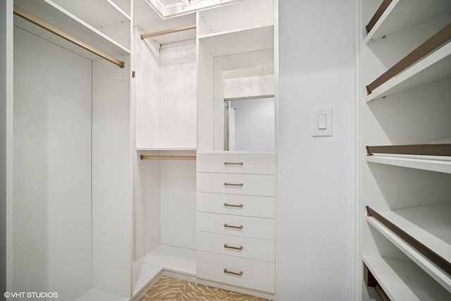 407 Ashland Ave Unit 6H, River Forest, IL 60305 - view of spacious closet