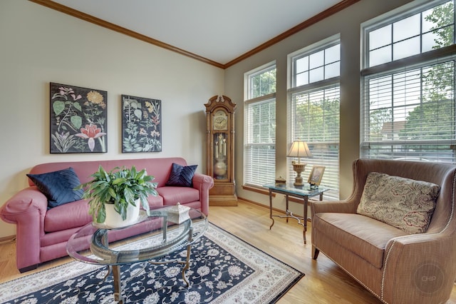 2693 Barrington Dr, Aurora, IL 60503 - living area featuring ornamental molding, wood finished floors, and baseboards