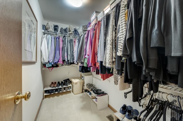 2693 Barrington Dr, Aurora, IL 60503 - spacious closet with carpet floors