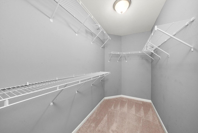 1413 N Charles Ave, Naperville, IL 60563 - spacious closet featuring carpet flooring