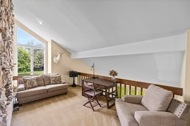 7 Surrey Rd, Lemont, IL 60439 - living area with vaulted ceiling and light colored carpet