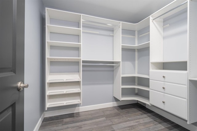 817 N Mohave Dr, Pontiac, IL 61764 - walk in closet featuring dark wood-type flooring
