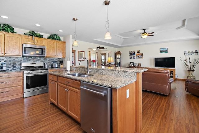 2609 E 1500s Rd, Kankakee, IL 60901 - kitchen featuring stainless steel appliances, a sink, dark wood finished floors, a raised ceiling, and open floor plan