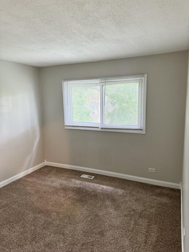 716 Shining Water Dr, Carol Stream, IL 60188 - unfurnished room featuring plenty of natural light, a textured ceiling, and carpet