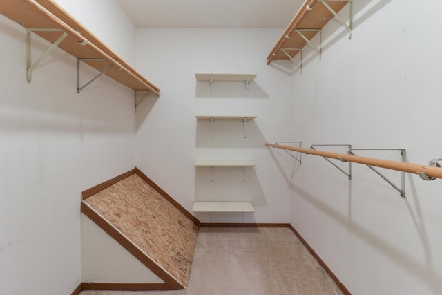 1560 Hunt Dr Unit A, Normal, IL 61761 - spacious closet with carpet