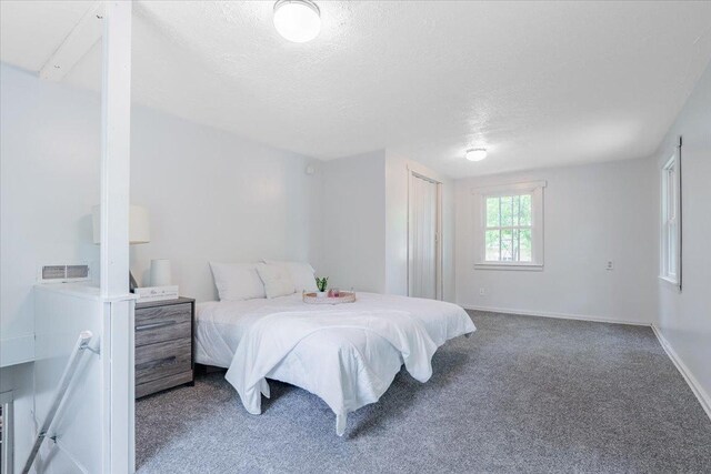 323 N 2nd Ave, Chenoa, IL 61726 - bedroom featuring a textured ceiling, carpet flooring, and baseboards