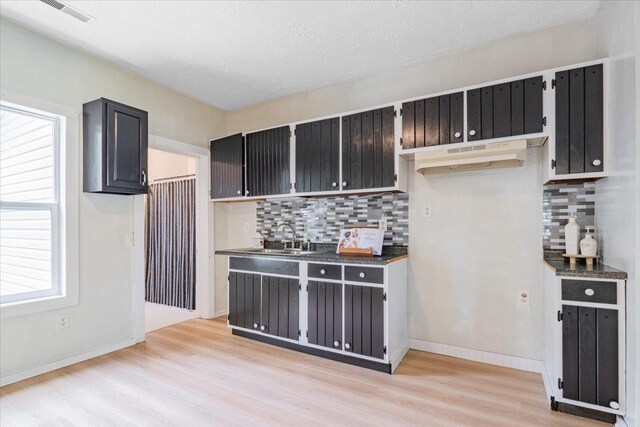 323 N 2nd Ave, Chenoa, IL 61726 - kitchen featuring a sink, light wood-style flooring, tasteful backsplash, and dark cabinetry