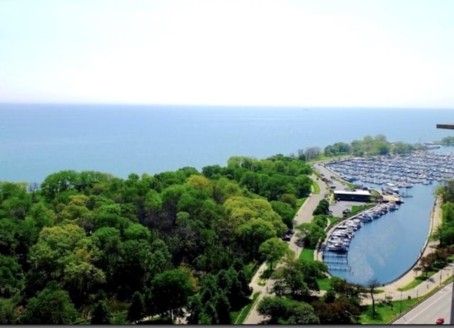 3600 N Lake Shore Dr Unit 2212, Chicago, IL 60613 - aerial view of a large body of water