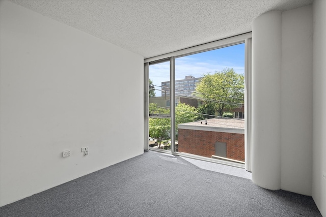 3120 S Indiana Ave Unit 207, Chicago, IL 60616 - carpeted empty room with a wall of windows and a textured ceiling