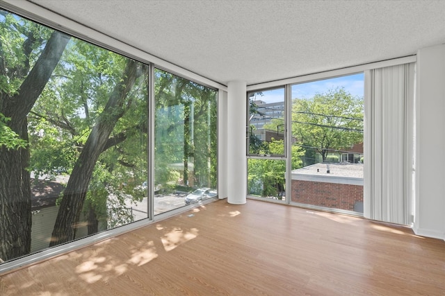 3120 S Indiana Ave Unit 207, Chicago, IL 60616 - unfurnished sunroom featuring a wall of windows, a textured ceiling, and wood finished floors
