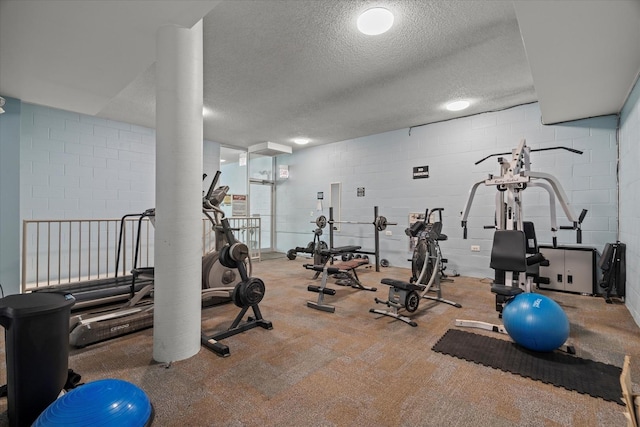 3120 S Indiana Ave Unit 207, Chicago, IL 60616 - gym featuring a textured ceiling and concrete block wall