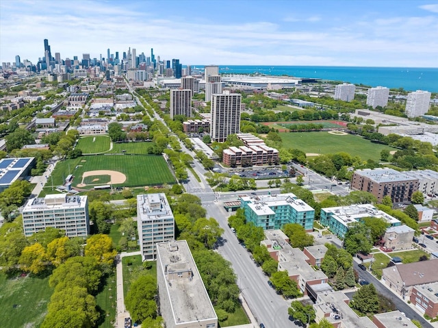 3120 S Indiana Ave Unit 207, Chicago, IL 60616 - bird's eye view of skyline and a nearby body of water