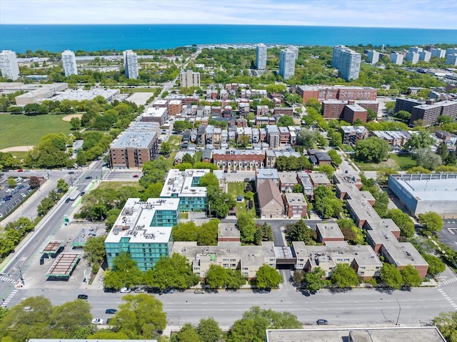 3120 S Indiana Ave Unit 207, Chicago, IL 60616 - view of urban area featuring a nearby body of water
