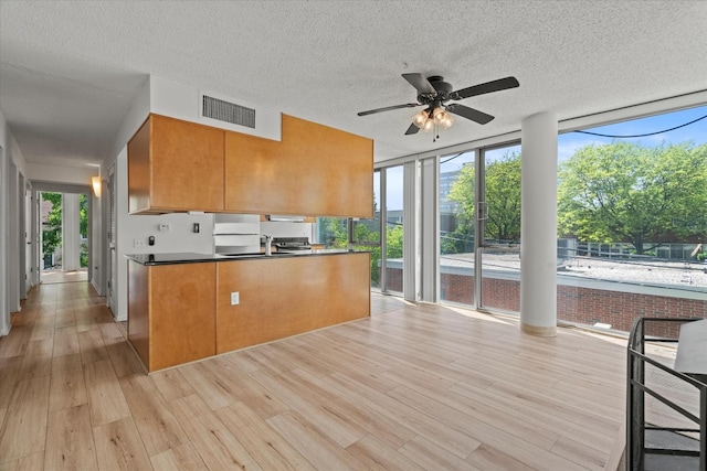 3120 S Indiana Ave Unit 207, Chicago, IL 60616 - kitchen with a ceiling fan, light wood finished floors, brown cabinets, a textured ceiling, and dark countertops