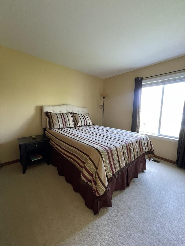 749 S Vintage Ln, Round Lake, IL 60073 - bedroom featuring carpet floors and baseboards